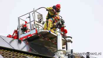 112-nieuws: veel pech op A59 • piepende vogel blijkt schommel