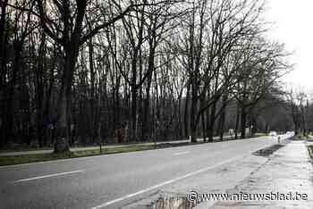 Bijkomend onderzoek gevraagd in groot proces rond miljoenenfraude: tachtiger uit Antwerpen zou spilfiguur zijn