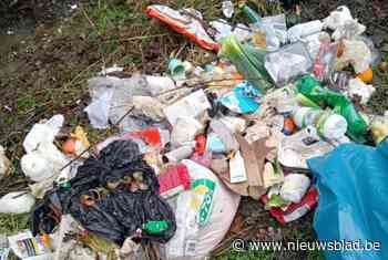 Gemeente geeft grote sluikstorter een flinke boete