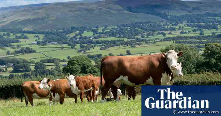 Farmland in England to be reduced by more than 10% under government plans