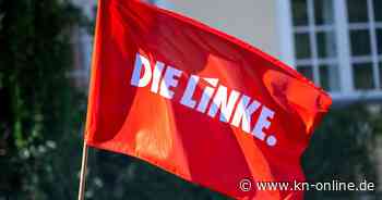 Die Linke: Partei stößt mit Merz-Fotomontage auf Kritik