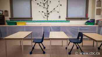 Hamilton public school board shuts down its internet following 'potential cyber incident'