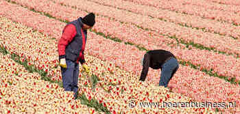 Vergelijk geen appels met peren bij arbeidsrelaties