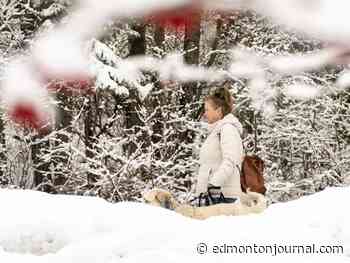 Edmonton weather: Up to 20 cm of snow expected by Saturday, snowfall warning in effect