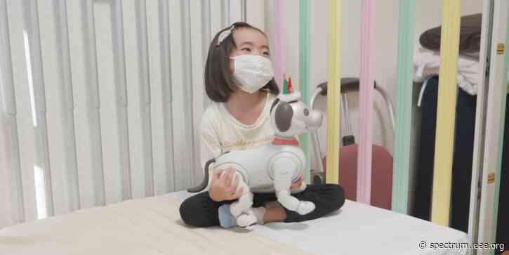 Video Friday: Aibo Foster Parents