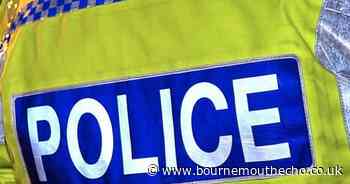 Woman charged following alleged shoplifting in Swanage