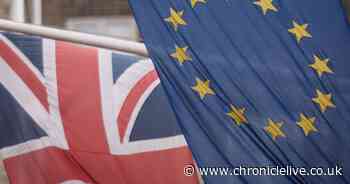 North East leaders reflect on Brexit five years after leaving EU