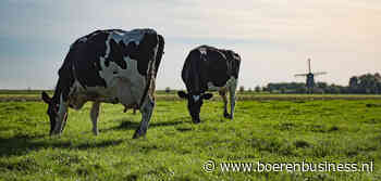 Tussen wal en schip: voor altijd piekbelaster