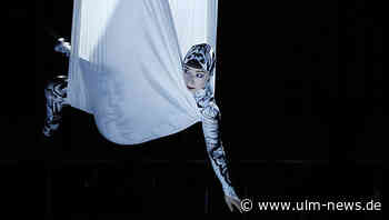 Nächste Uraufführung im Theater Ulm: Tanztheater mit dem Stück »Die Möwe Jonathan«