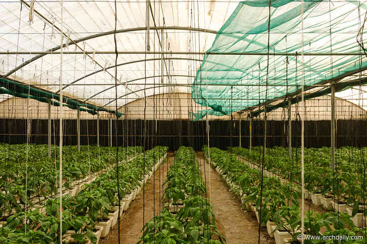 National Pavilion UAE Highlights Food Security at 2025 Venice Architecture Biennale, Led by Azza Aboualam