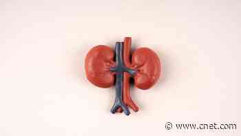 13 Foods That Will Keep Your Kidneys in Tip-Top Shape