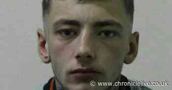 Cullercoats domestic abuse thug left partner fearing he would kill her during terrifying attack