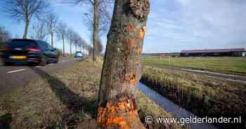 Op weg waar jonge man (25) omkwam, lijkt het haast nooit mis te gaan: ‘Maar het kan altijd gebeuren, dat zie je’