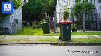 FOGO a no go? Queensland falling behind on organic waste goals