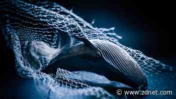 Deepseek's AI model proves easy to jailbreak - and worse