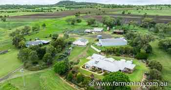 Well-located Pineview a premium 160 acre irrigation, cattle farm | Video