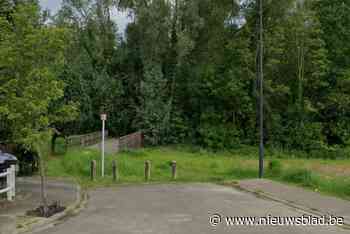 Bestuurder krijgt milde straf na gevaarlijk rijgedrag