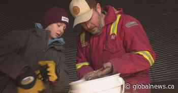 Manitoba farmers brace for price drops amid Trump tariff threat