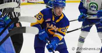 Blades Bio January 2025: Tanner Scott