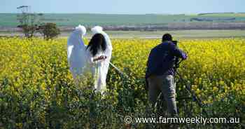 WA landscapes on show as young award-winning filmmaker makes her debut