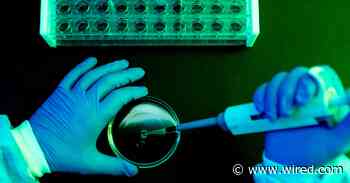 The Federal Funding Freeze Will Cause Lasting Damage to Medical Research