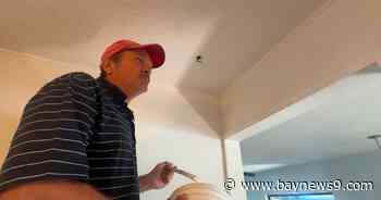 Seffner resident wants help to prevent flooding in community