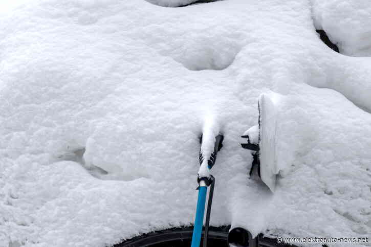 „Moderne Elektroautobatterien sind wahre Überlebenskünstler“