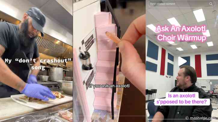 Ask an Axolotl is TikToks sweet, comforting viral ditty