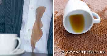 How to remove coffee stains from clothes and carpet with 35p hack, expert reveals