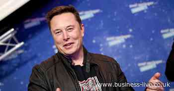Elon Musk says 2025 will be a 'pivotal year for Tesla' despite profit plunge