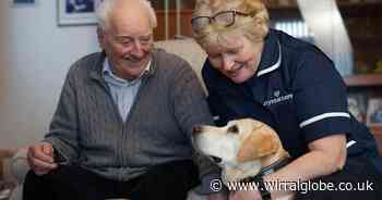 The importance of Dignity Action Month February with Crystal Care Wirral