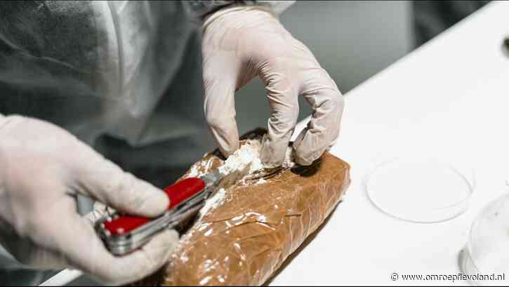 Lelystad - Mannen betrapt met 235 kilo coke krijgen celstraf