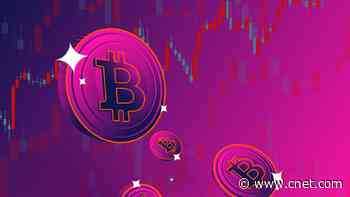 Is 2025 the Year of Crypto?
