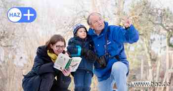 Hannover: Nabu Niedersachsen wertet Stunde der Wintervögel 2025 aus