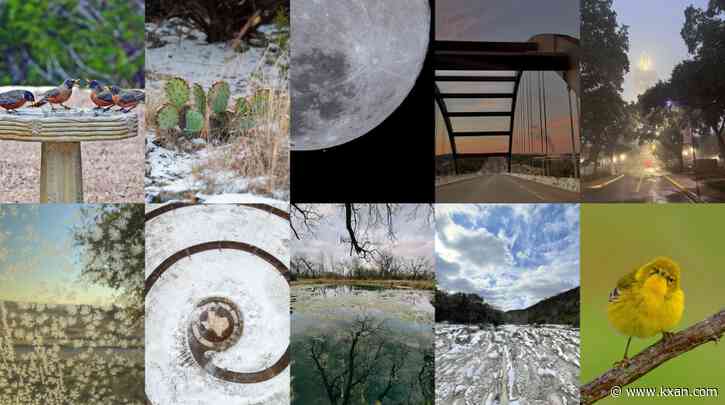 Photo of the Month poll: Help us choose the best viewer photo of January 2025