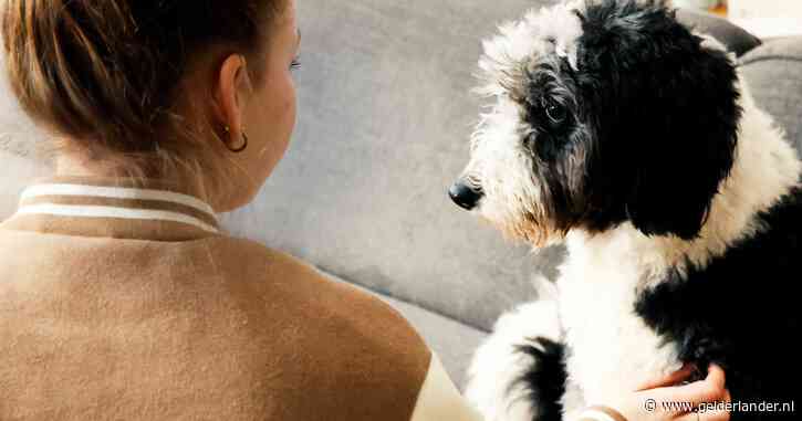 Als de kliniek hoort dat depressieve Evi (25) gaat verhuizen, vervalt urgente behandeling direct