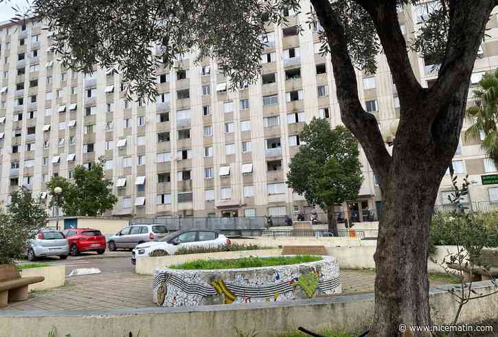 Fusillade mortelle à Nice: "Les habitants ont peur, mais pour eux on ne lâche rien", témoigne Malika, présidente d'association dans le quartier