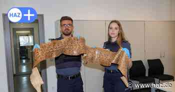 Von Gammelfleisch bis VW-Käfer: Zehn verrückte Dinge, die am Flughafen Hannover transportiert wurden