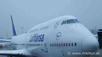Horrorflug und „seelische Qual“ am Flughafen Frankfurt – Paar klagt gegen Lufthansa