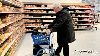 New initiative helps seniors in north Winnipeg get to grocery stores