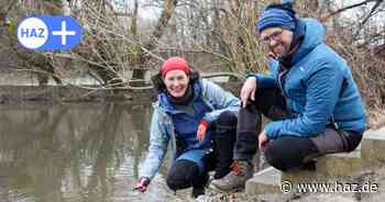 „Naturetainment” in Hannover: So lernen Kinder alles über Wasser