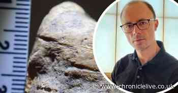 Northumbria University researcher on team which makes 'groundbreaking' discovery on early human life