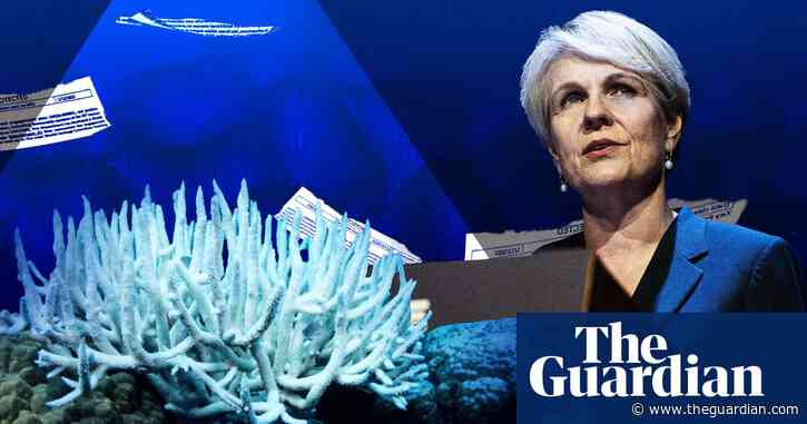 Australia tried to influence other countries and Unesco to keep Great Barrier Reef off in-danger list