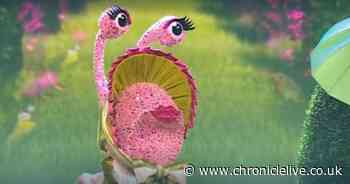 Who is Snail on Masked Singer? True identity rumbled as star 'disguises' voice on ITV show