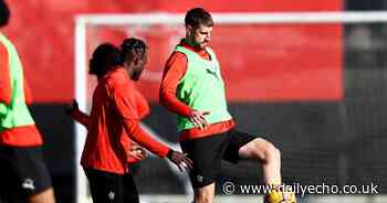 Juric 'not very optimistic' after Stephens injured on Saints return