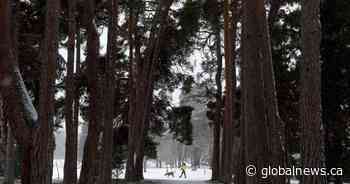 B.C.’s south coast sees first snowfall of the season