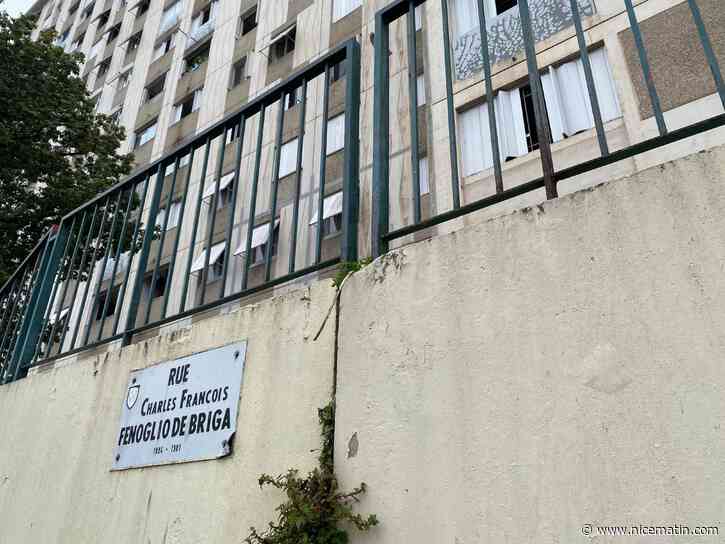 Fusillade mortelle rue Fenoglio à Nice: "on aurait pu anticiper si on nous avait donné les moyens de la faire", selon le syndicat de police Alliance 06
