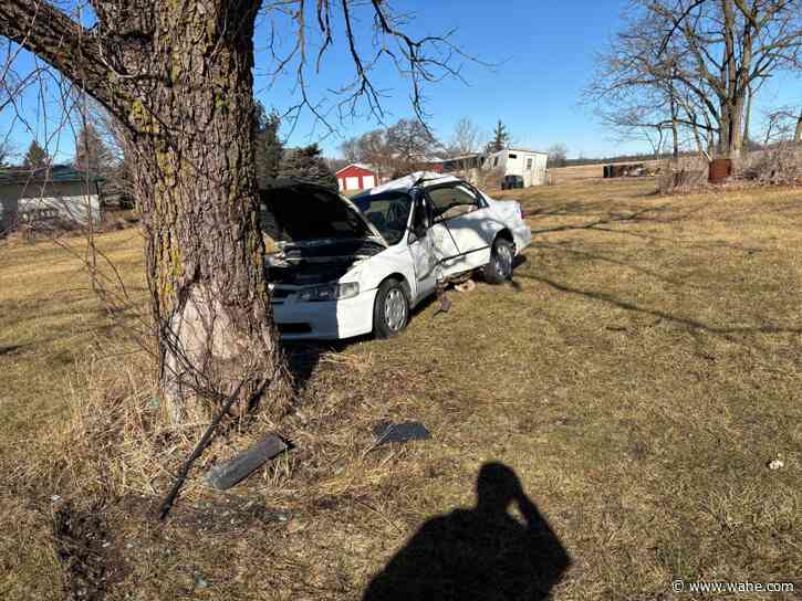 1 injured in crash after striking a tree in DeKalb County