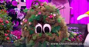 The Masked Singer's Bush escapes ITV axe as star's career update devastates fans