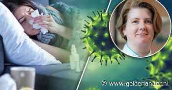 Duizenden mensen gaan overlijden aan griep: ‘Ik hoop dat we nu in de piek zitten en het niet erger wordt’